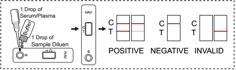 TEST HAV.png TEST HAV.png